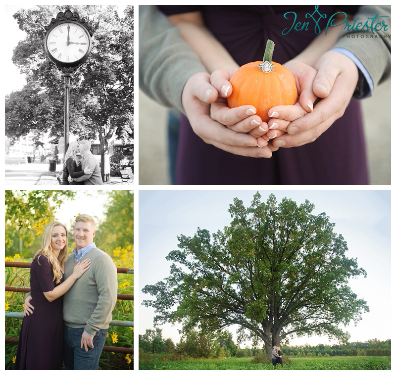 metro Detroit michigan wedding engagement photographer