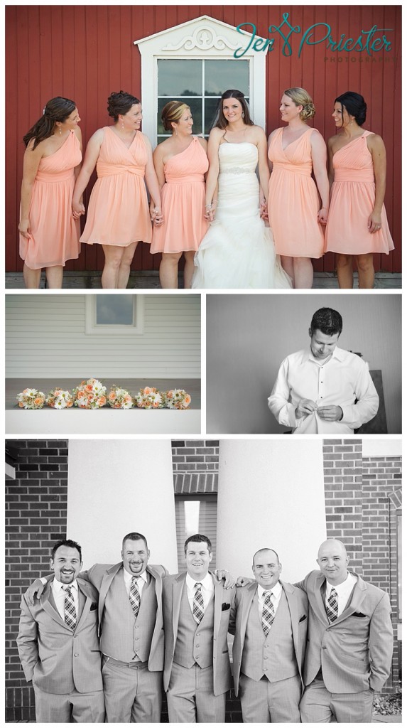 metro détroit mi wedding photographer