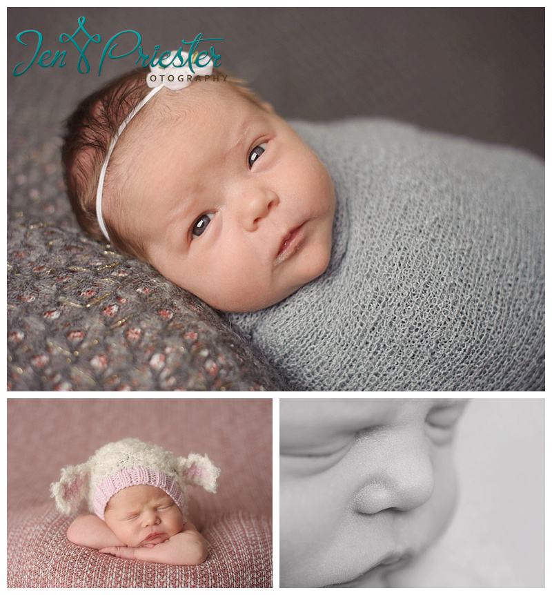 livonia mi newborn photographer