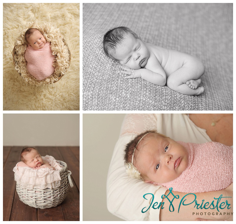 livonia mi newborn photographer