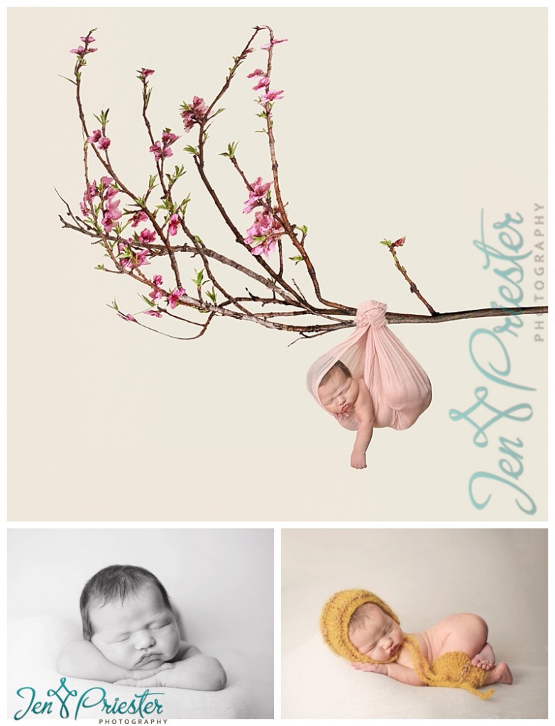 livonia michigan newborn photographer