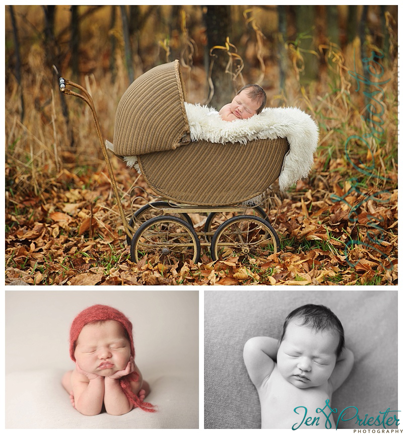 livonia michigan newborn photographer