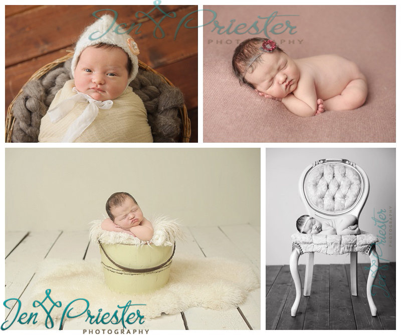 livonia michigan newborn photographer