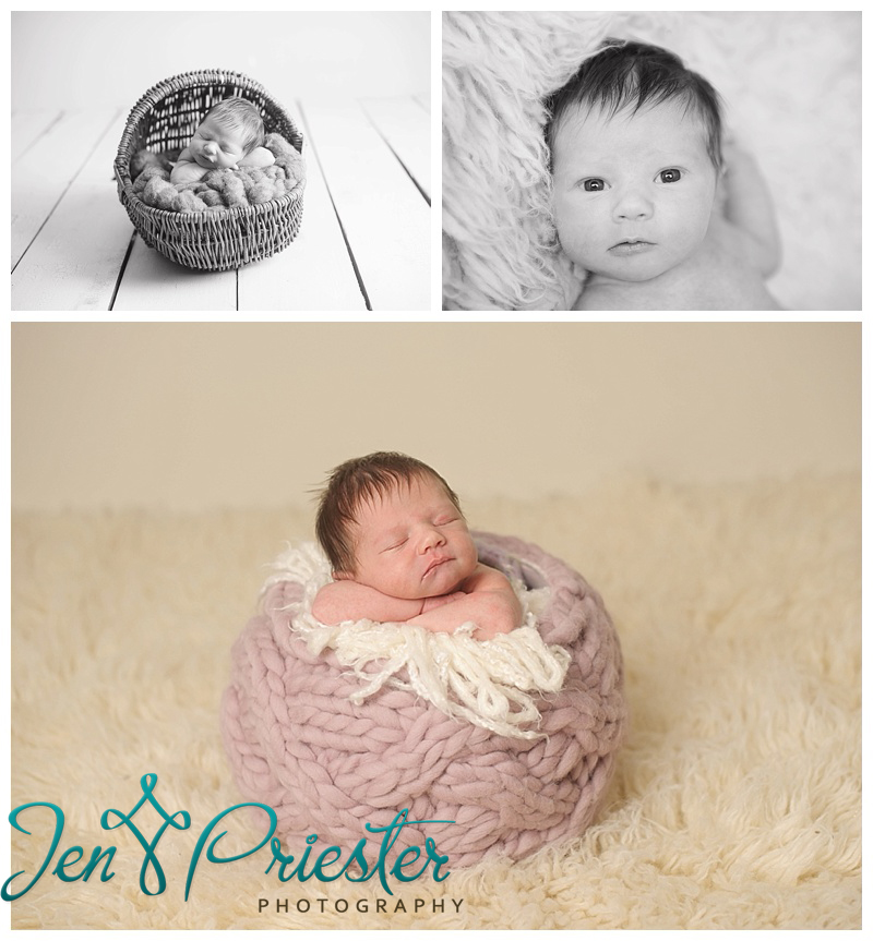metro detroit michigan newborn photography