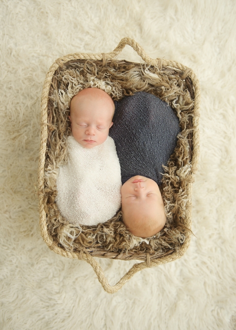Michigan Newborn Twin Photographer