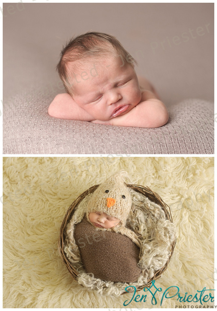 Birmingham Michigan Newborn Photographer
