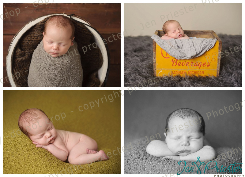 birmingham michigan newborn photographer