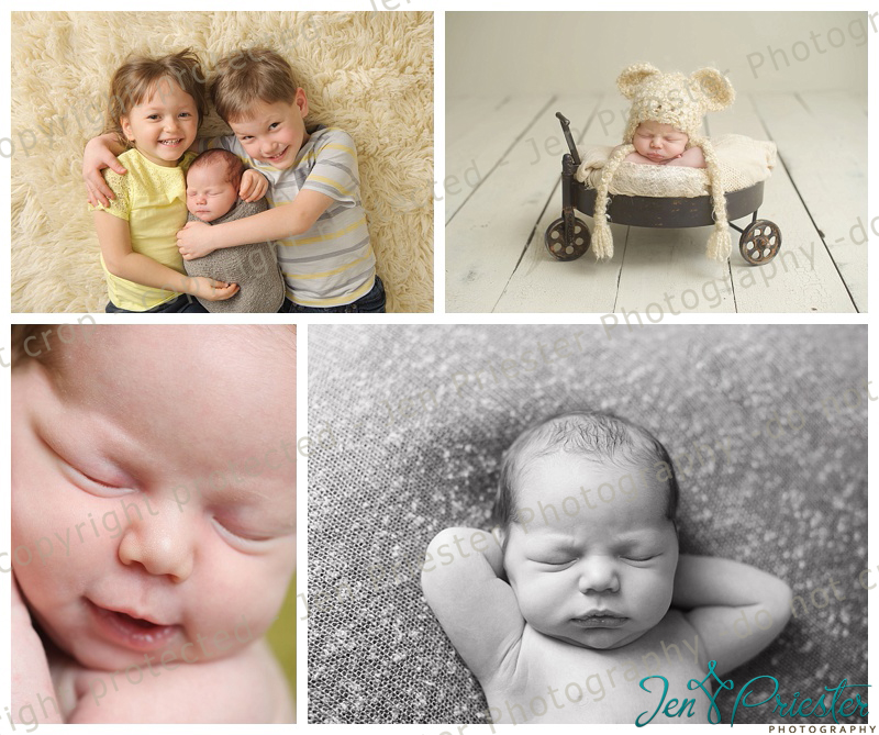 birmingham michigan newborn photographer