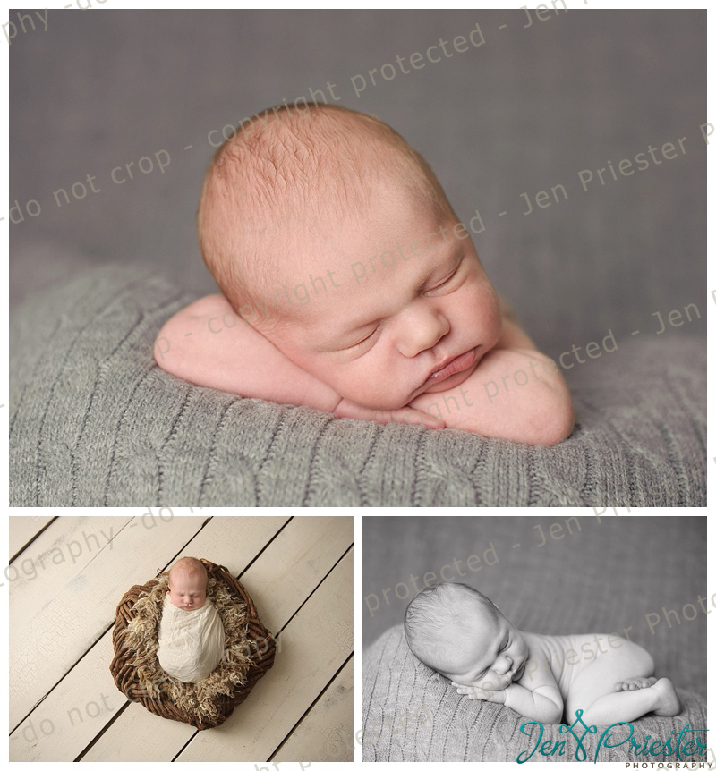 livonia michigan newborn photographer