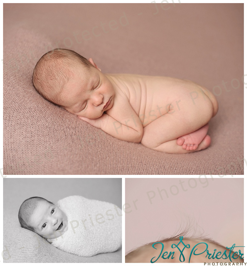 birmingham michigan newborn photographer