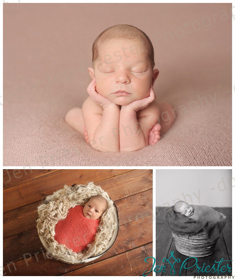 birmingham michigan newborn photographer