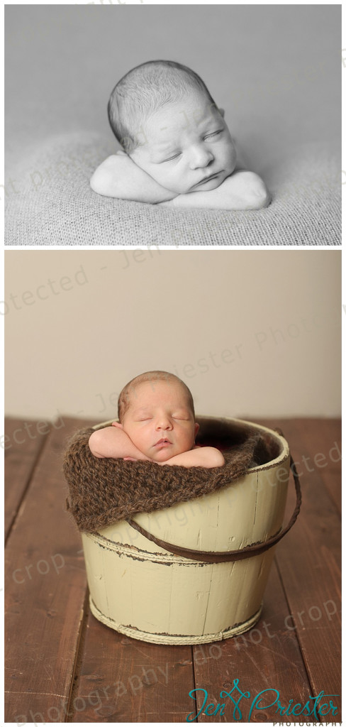 birmingham michigan newborn photographer
