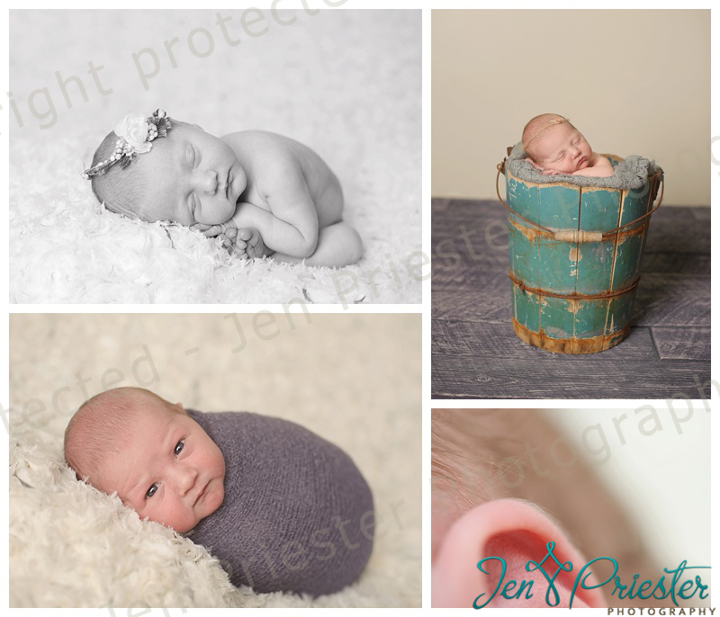 belleville michigan newborn photographer