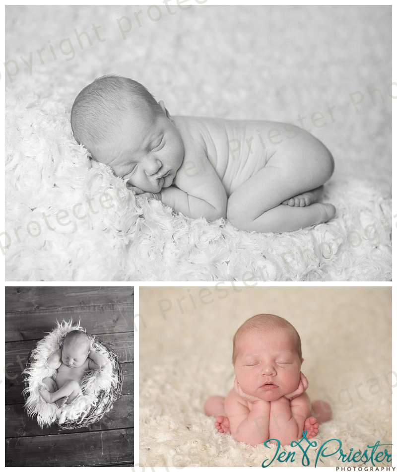 belleville michigan newborn photographer