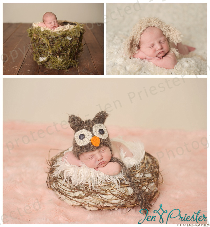 belleville michigan newborn photographer