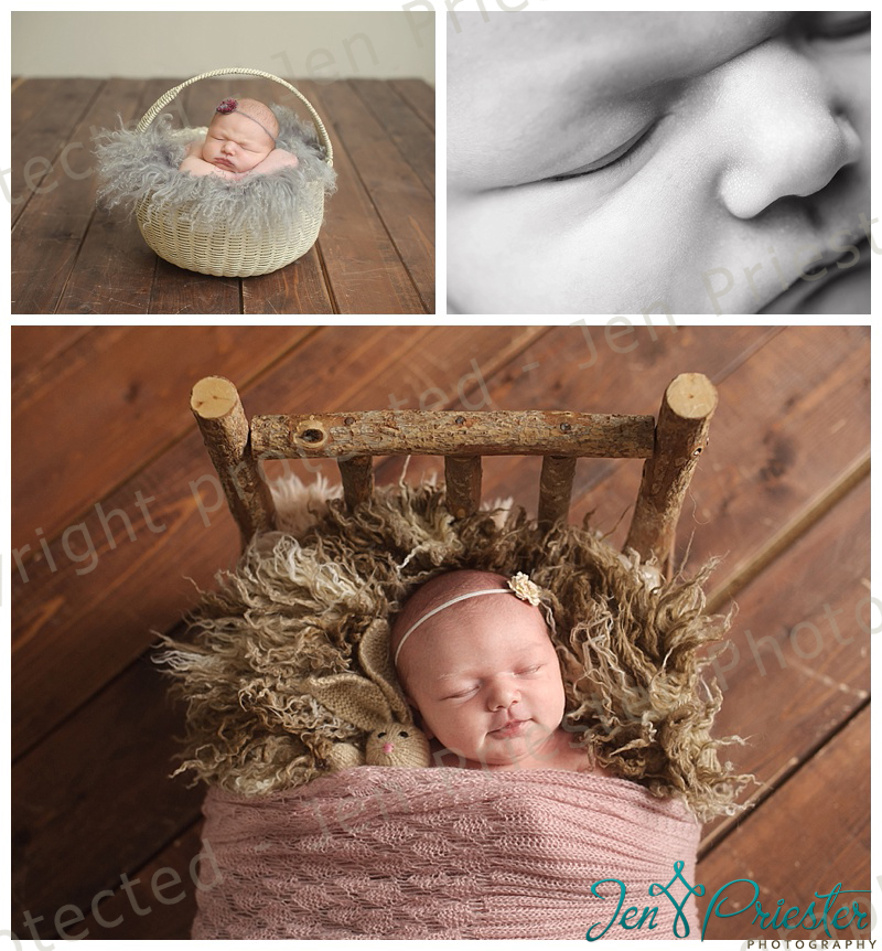 Birmingham Michigan Newborn Photographer