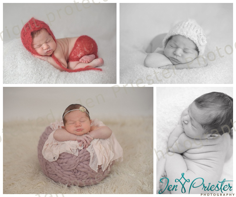 Royal Oak Michigan Best Newborn Photographer