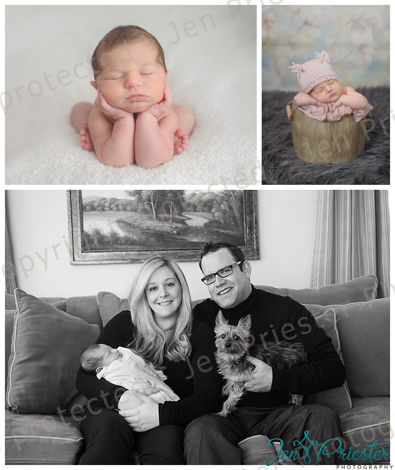 Royal Oak Michigan Best Newborn Photographer
