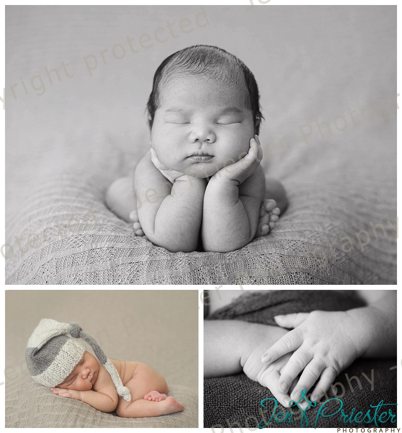 Farmington Hills Michigan newborn photographer