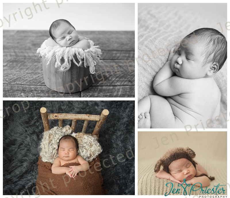 Farmington Hills Michigan newborn photographer