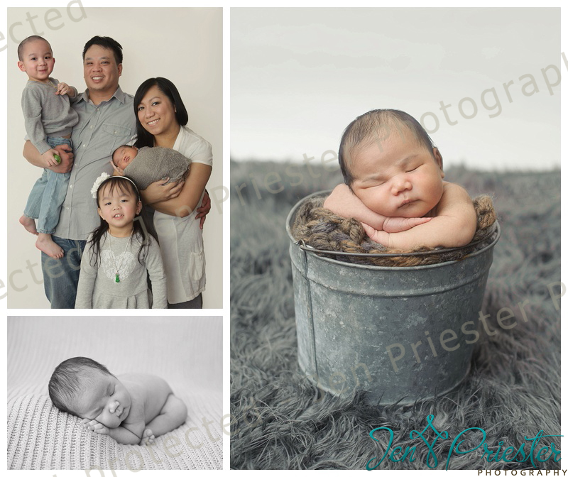 Farmington Hills Michigan newborn photographer