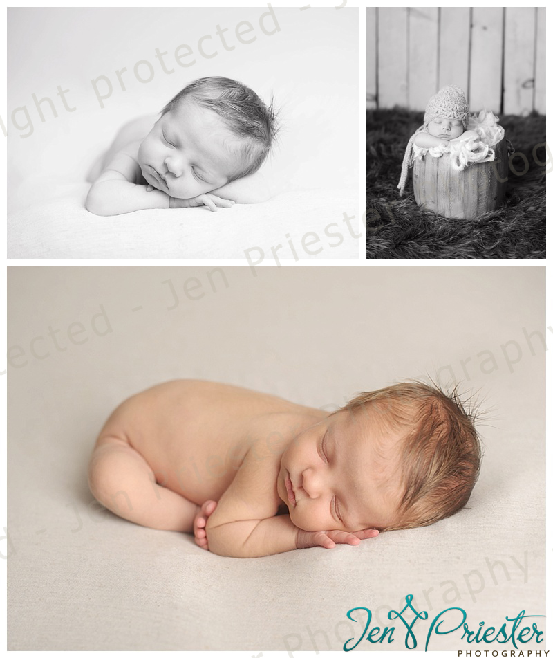 Birmingham Michigan Newborn Photographer