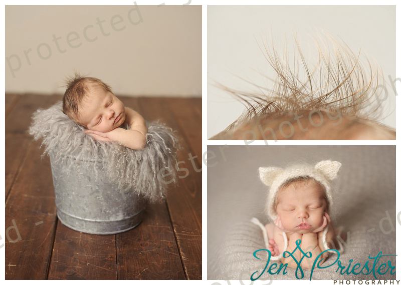 Birmingham Michigan Newborn Photographer