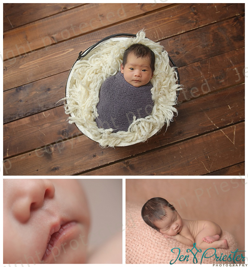 Newborn Photographer in Livonia Michigan