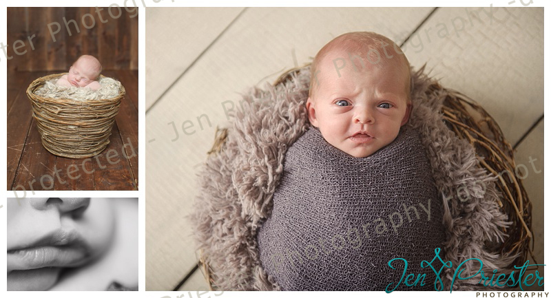 Royal Oak Michigan Newborn Photographer