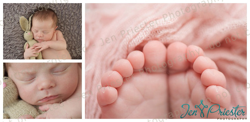 Birmingham Michigan Newborn Photographer