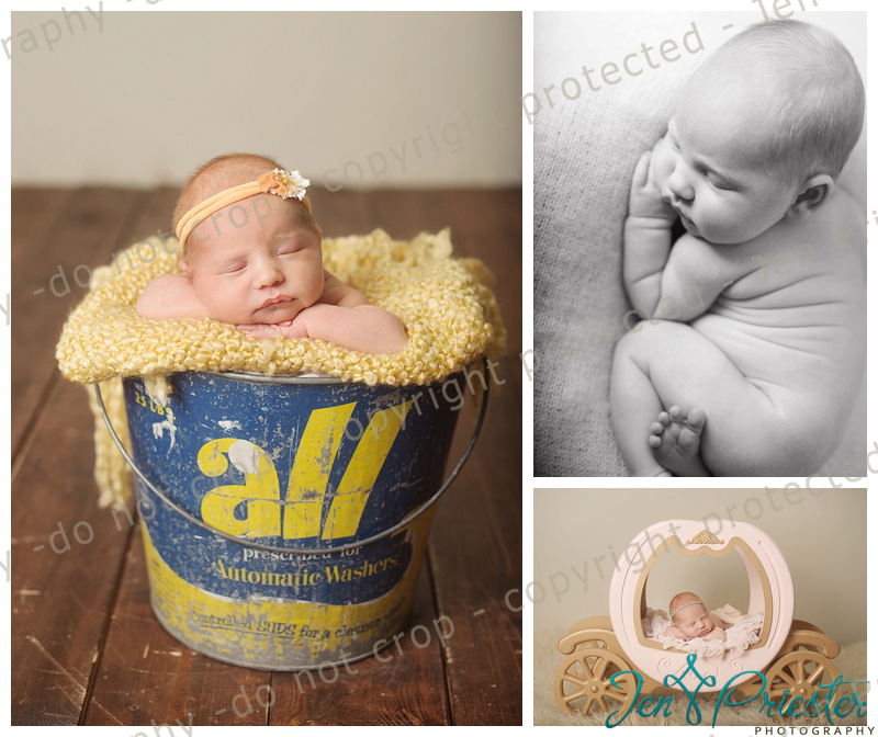 Ann Arbor Newborn Photographer
