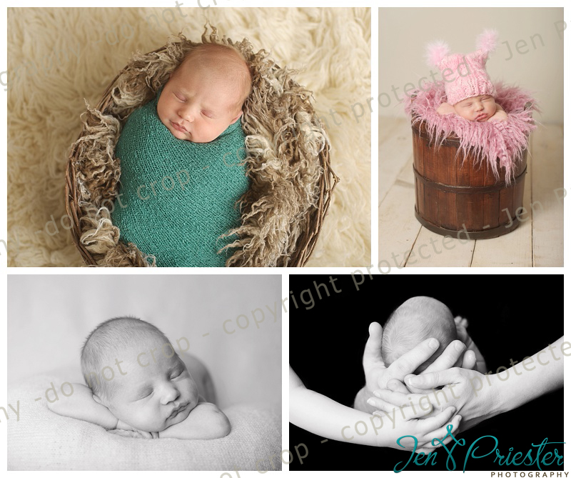 Ann Arbor Newborn Photographer