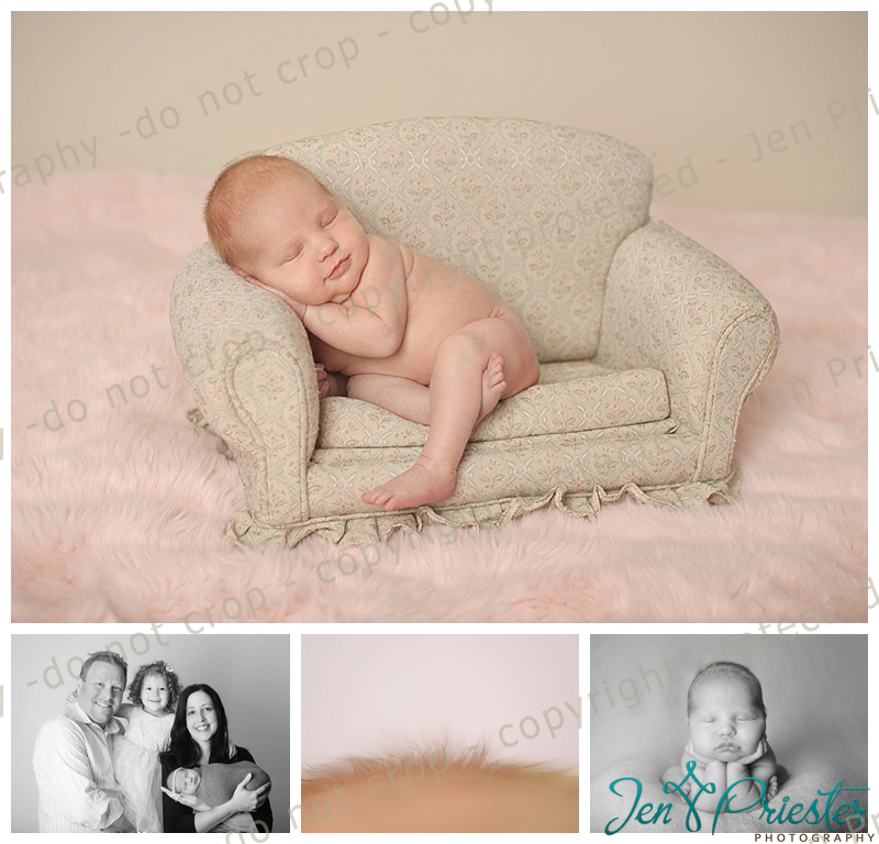Ann Arbor Newborn Photographer