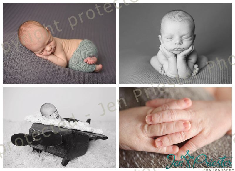 Northville, Michigan Newborn Photographer
