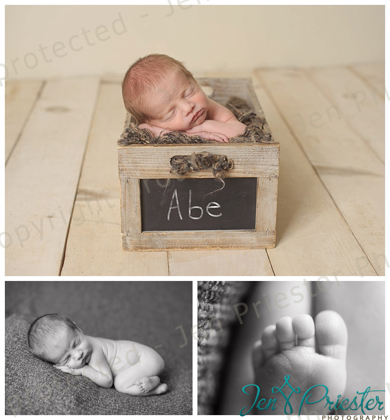 Royal Oak Michigan Photographer Jen Priester Specializes in Newborns.