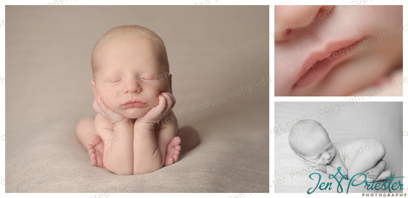 Birmingham Michigan Newborn Photographer