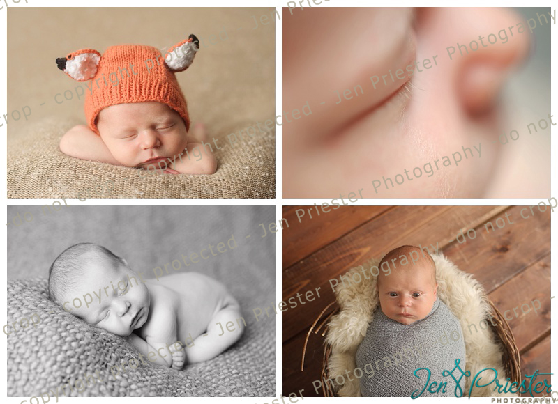 Birmingham Michigan Newborn Photographer