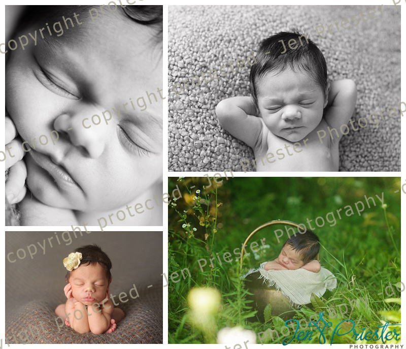 sweet newborn girl sleeping outside in bucket dearborn heights mi