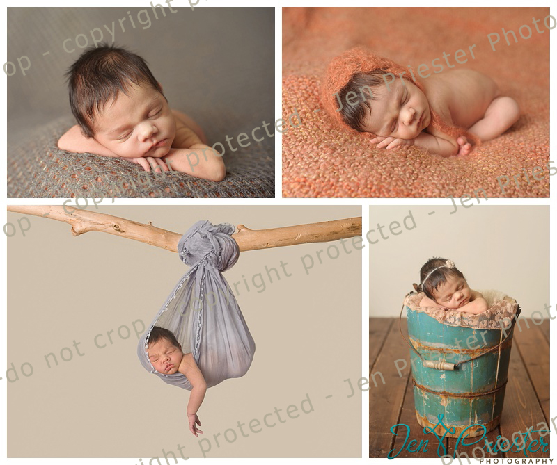 newborn hanging from branch dearborn heights mi newborn photographer 