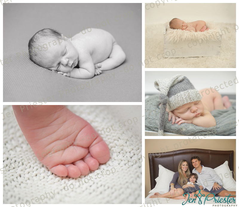 Ann Arbor Mi Newborn Photographer