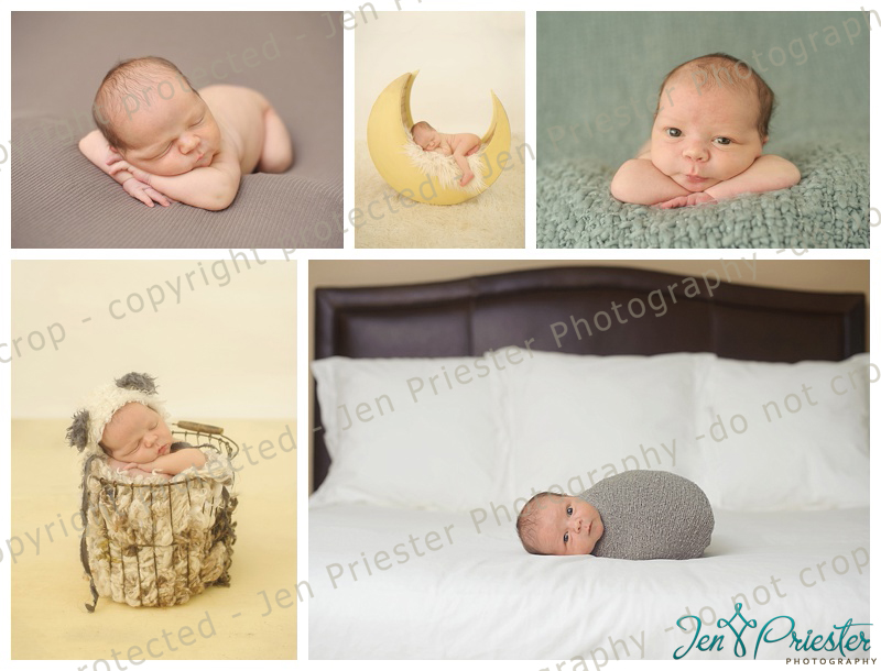 Ann Arbor Mi Newborn Photographer