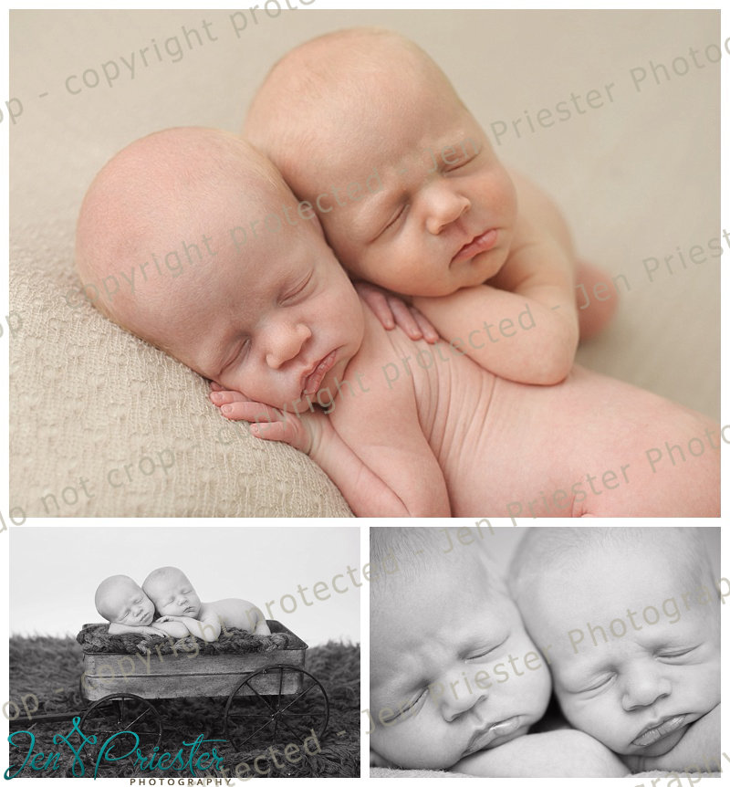 Dearborn Heights Michigan Newborn Photographer of twins