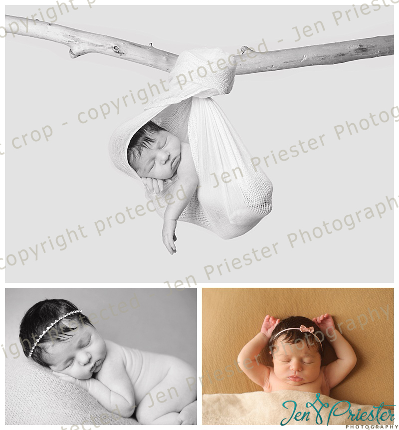 Macomb Michigan Newborn Photographer