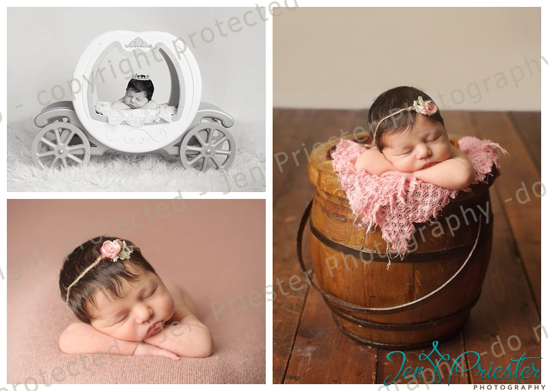 Macomb Michigan Newborn Photographer