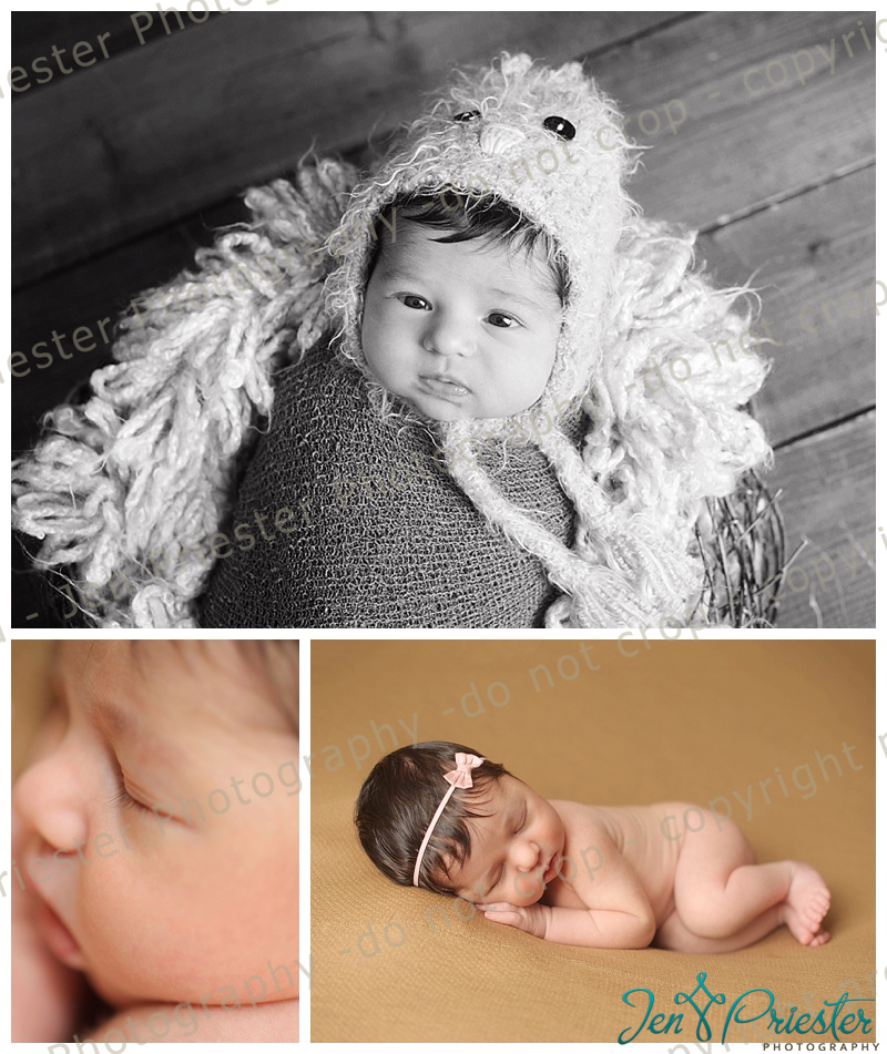 Macomb Michigan Newborn Photographer