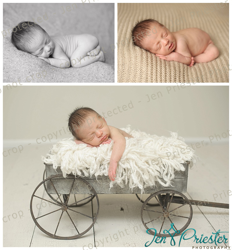 South Lyon MI newborn photographer