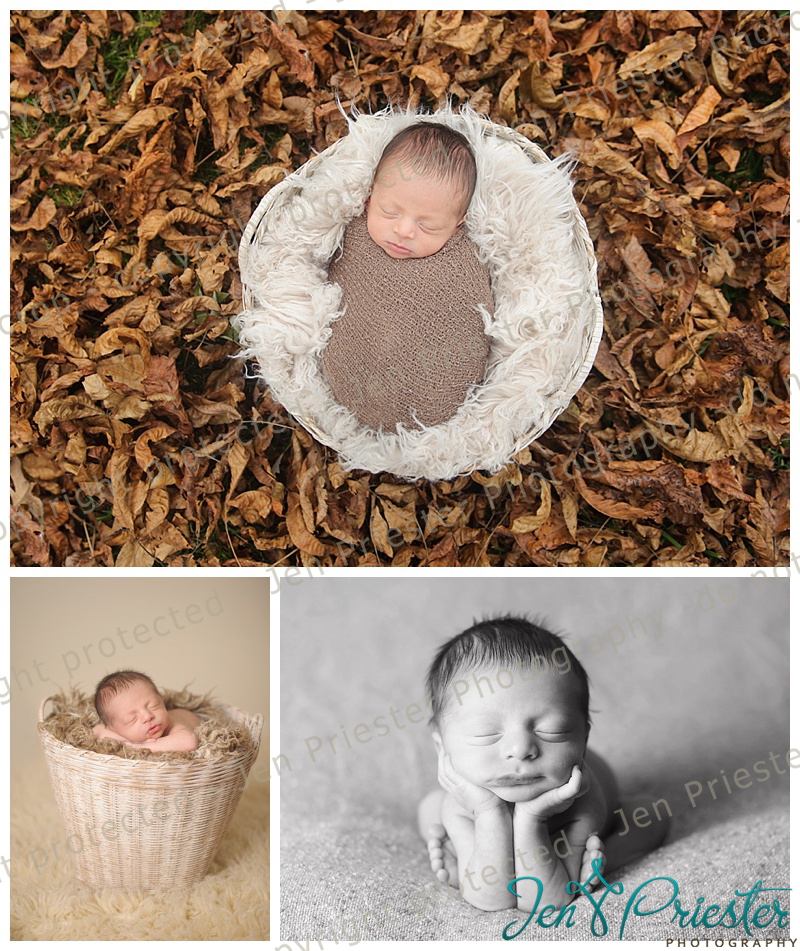 South Lyon MI newborn photographer