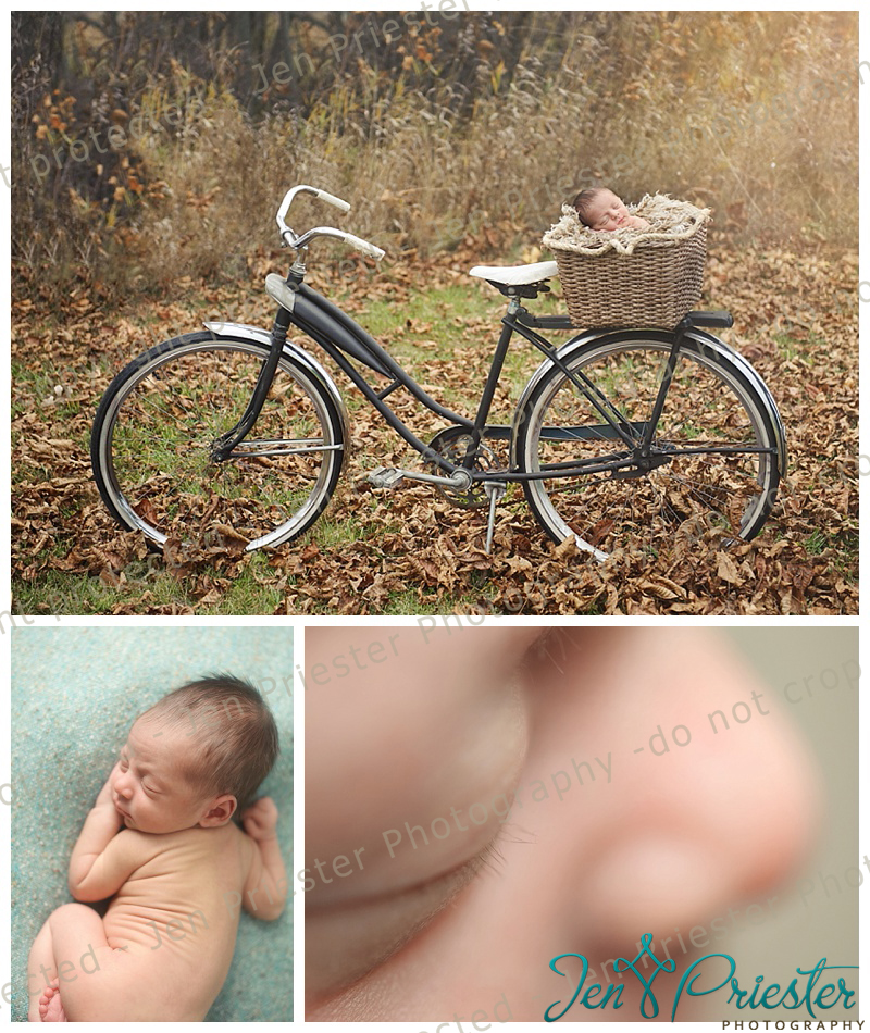 South Lyon MI newborn photographer