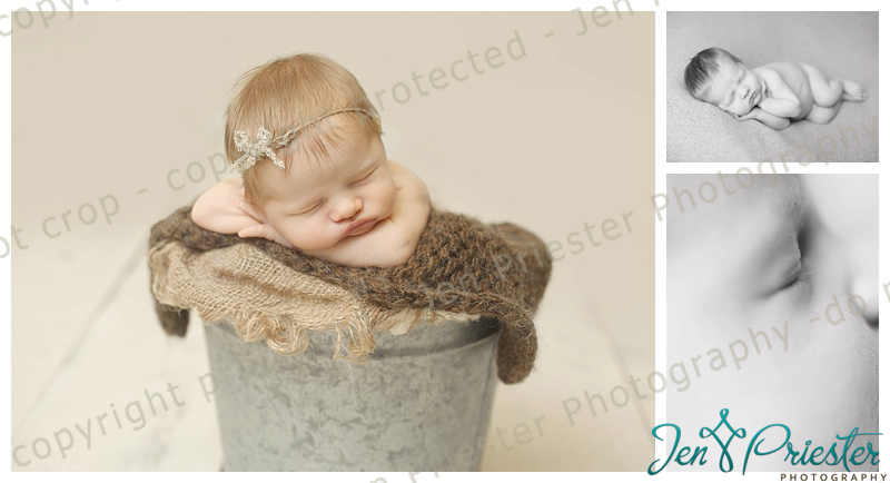 Troy Michigan Newborn Photographer