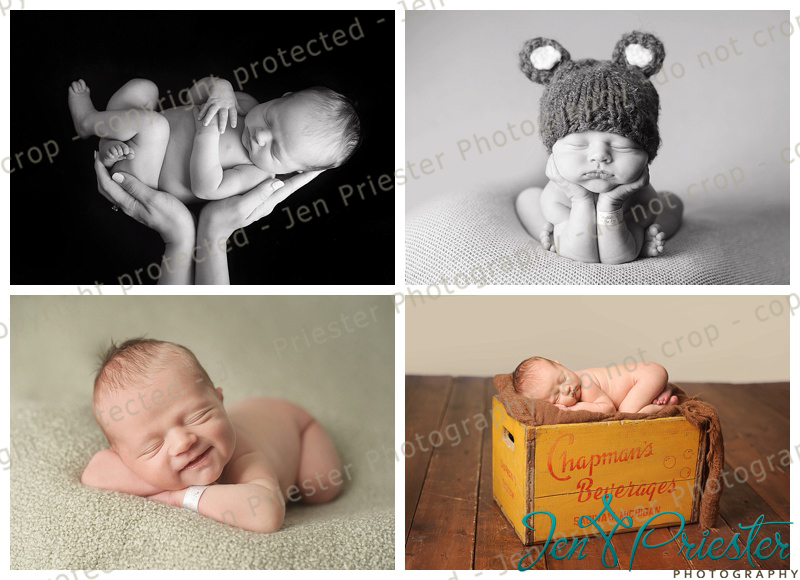 Birmingham Michigan Newborn Photographer